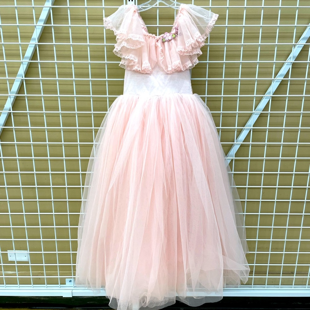 NWT Doll Cake Tulle Puffy Princess Floral Lace Fit Flare Fairytale Petite Sz 12